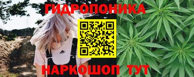 индика Тулун