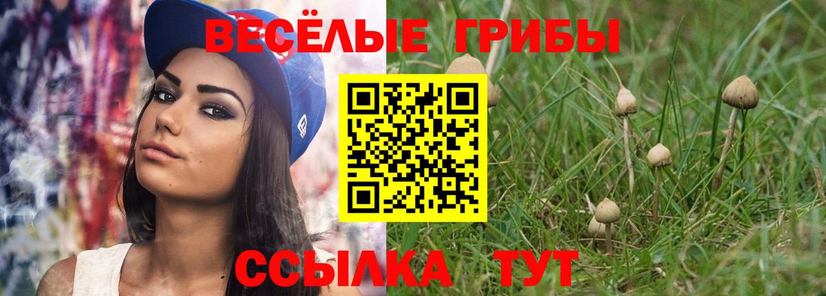 Галлюциногенные грибы ЛСД  Вход с VPN  продажа наркотиков  Набережные Челны 